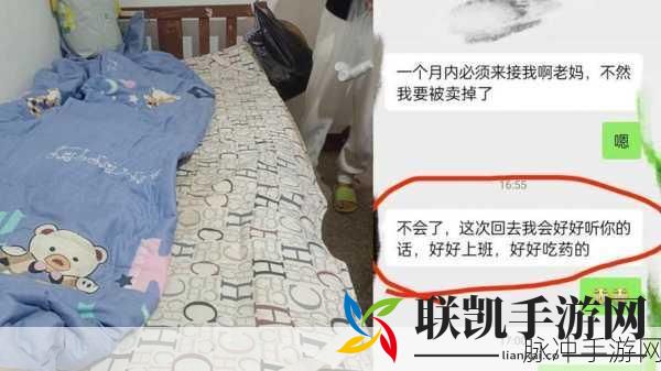 2023缅北血腥网站:“2023缅北地区血腥暴力事件与社会动荡深入分析”