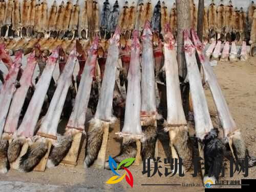 云南 18 岁小伙残忍折磨 50 岁妇女