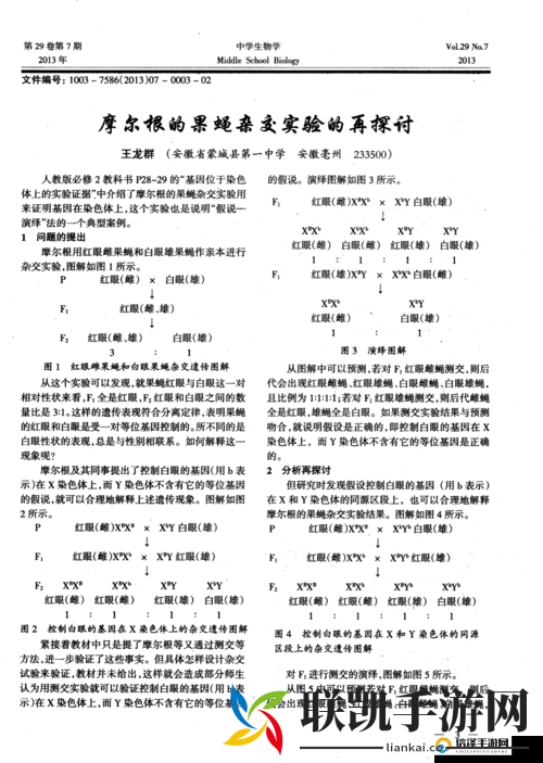 色哟哟.c:关于它的探讨