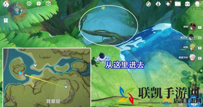 探索茸蕈窟，解锁隐藏锚点秘境：攻略指南